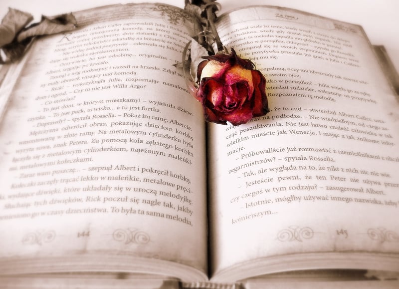 The Flower Gardener's Bible